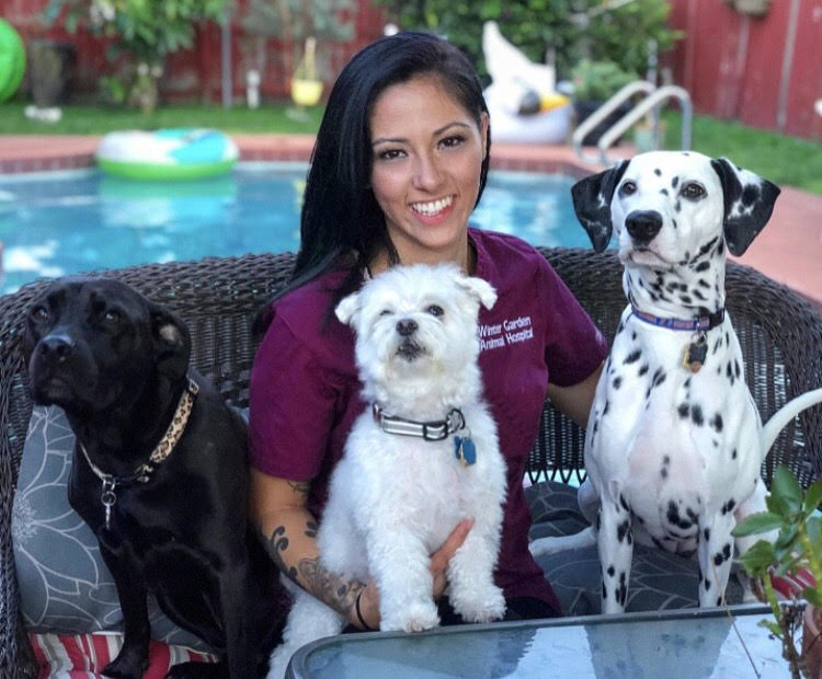 Our Team Winter Garden Animal Hospital